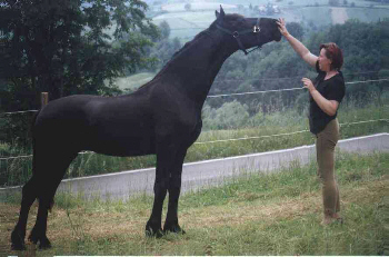 Famke and Nichi, 2002