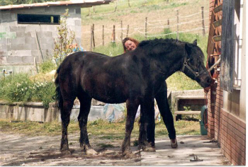 Sebrea and Nichi, grooming time