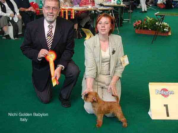 W Ch Nichi Golden Babylon BOS in Amsterdam 2002 (World Dog Show)