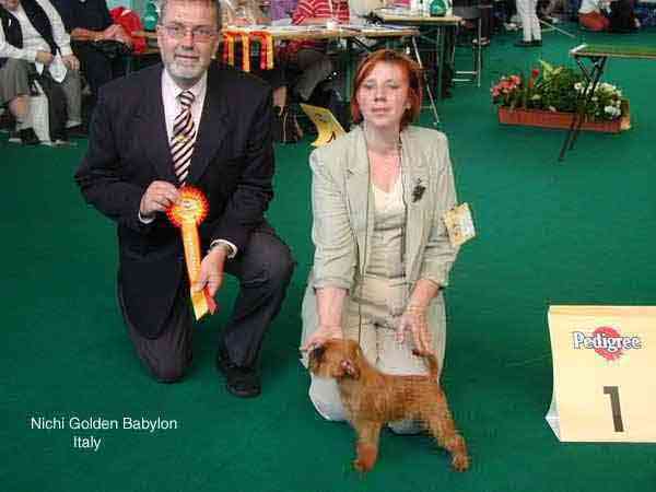 W Ch Nichi Golden Babylon BOB in Amsterdam 2002 (World Dog Show)