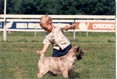 2 years old Stefano and Ch Giorsal Quincy - a firm hold is needed handling a terrier