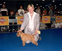 W Ch Pamelot s Noble Antics 11 years old in Milan World Show 2000