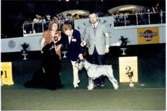 1992 European Show in Budapest, res Group Parsifal and Fabio
