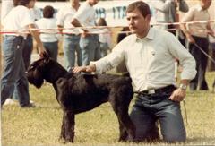 Fabio handling N Xilla della Val Chisone, 1982