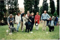 Italian National Specialty 1996, W Ch Ivan Mazor, Telchine Danske Ruth