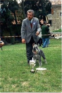 W Ch Ivan Mazor winning BIS at Italian National Specialty 1996
