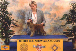 W Ch Sweet Nichi Souvenir, Milano 2000